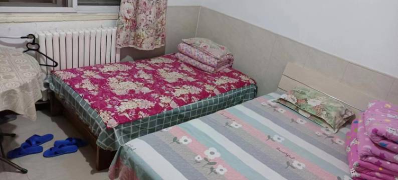 天津宾湖日租图片