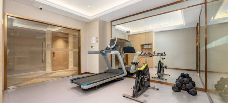 维也纳酒店(佛山里水沙涌店)图片