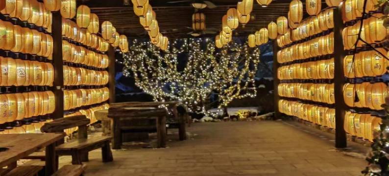 四季竹林书院图片