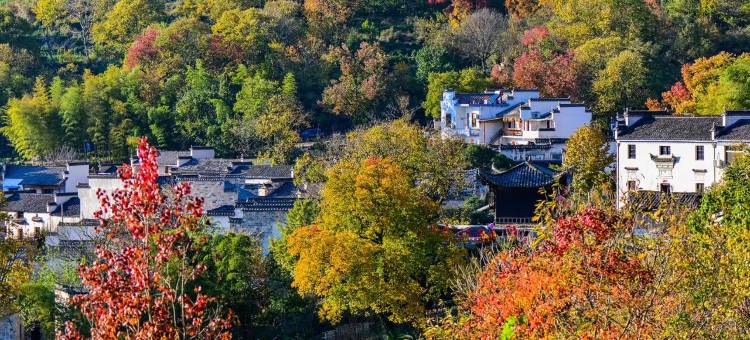 俏江湖酒店(宏村景区店)图片
