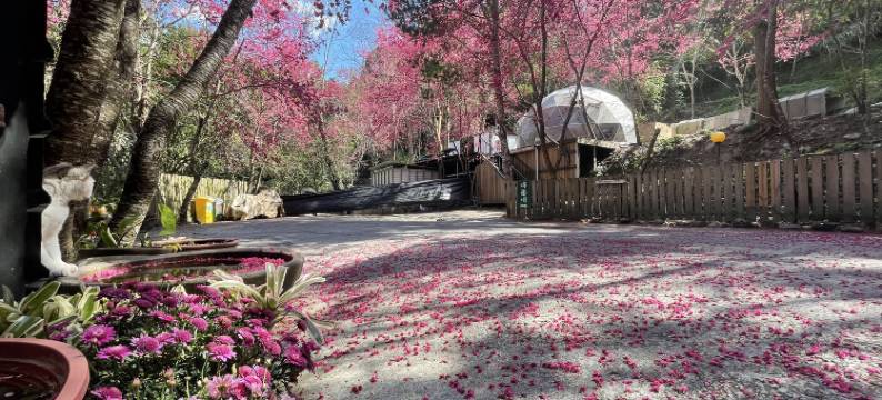 南投森之秘汤图片