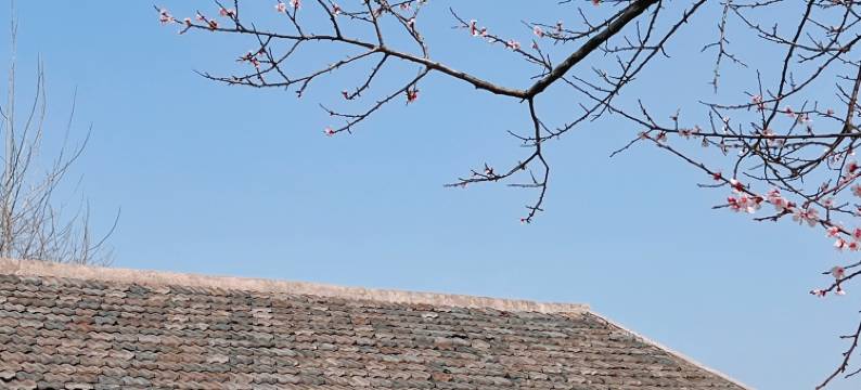 南京岳群青·泰式风情汤泉度假民宿图片