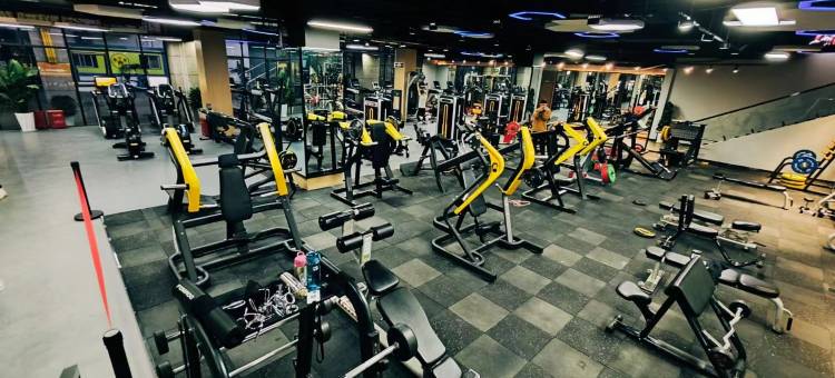 维也纳国际酒店(大竹金利美广场店)图片