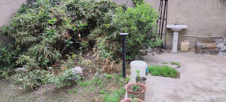 商丘恒泰宾馆图片