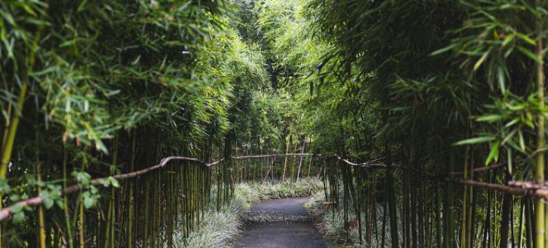 蒲江明月村停云晓得酒店图片