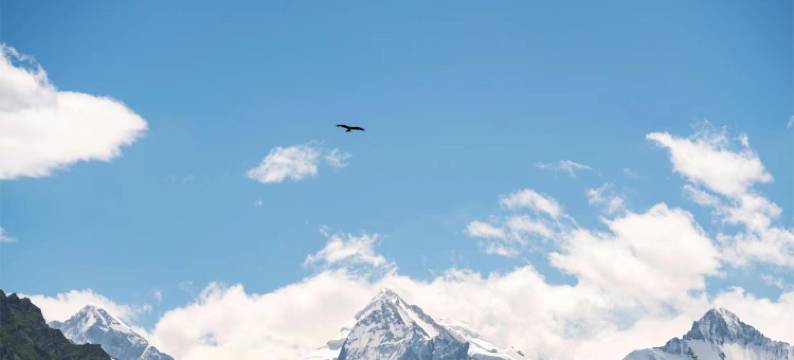 季枫国际酒店(博乐站万象汇店)图片