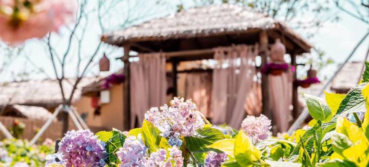 知北村精品文旅民宿图片