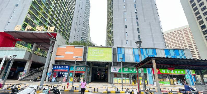 半夏公寓(万科金色领域礌岗地铁站店)图片