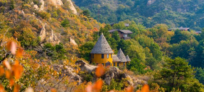 云峰山童话树屋图片