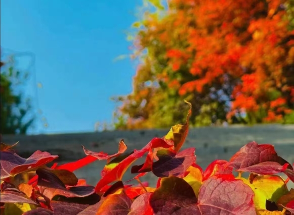 Beijing Wu frost mountain residence inn Hotel Overview