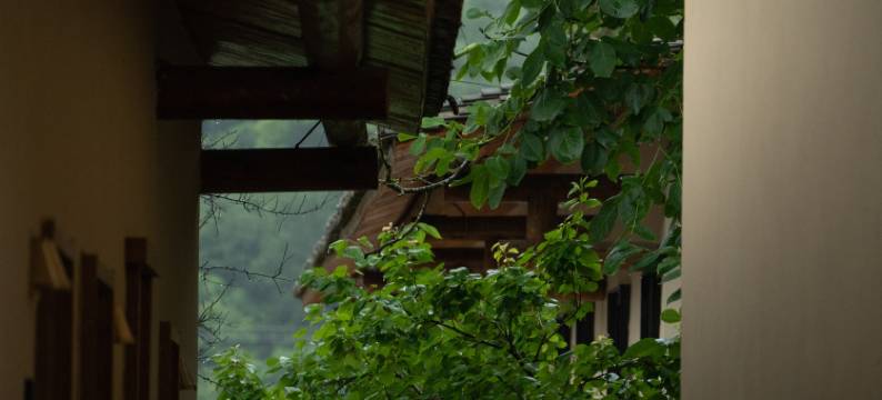 鹿柴山集八亩溪谷度假社区(宁陕店)图片