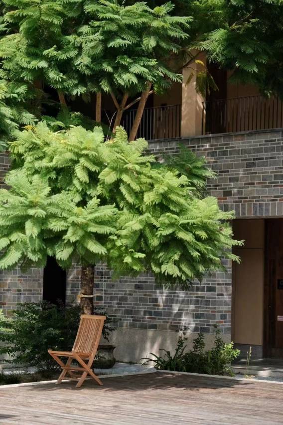 大乐之野·龙南围屋图片