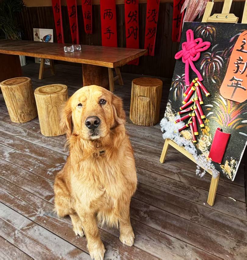 洛阳域南域北花园酒店(丽景门十字街洛邑古城店)图片