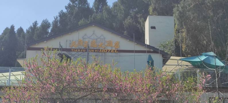 天府云逸大酒店(成都天府国际机场店)图片