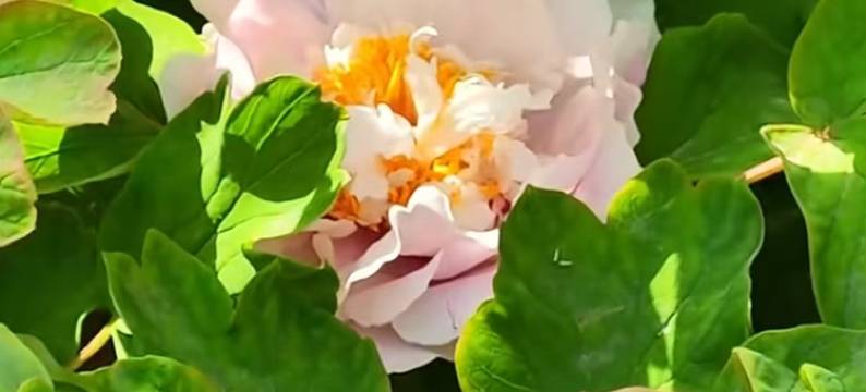 宜家酒店(洛阳龙门高铁站店)图片