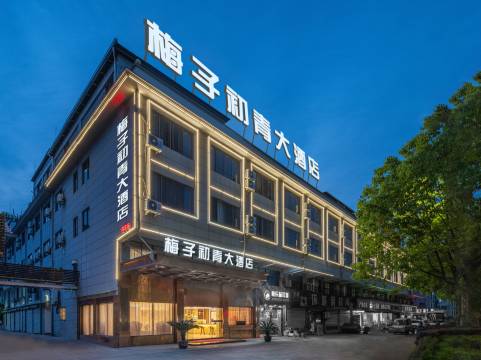 梅子初青大酒店(龙泉工业园区店)