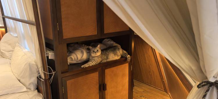 山水笙美星空下帐篷度假酒店(阳朔十里画廊遇龙河店)图片