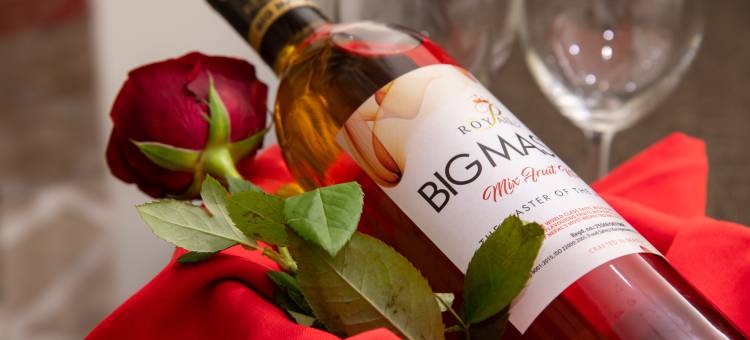 伦比尼赞巴拉酒店(Lumbini Zambala Hotel)图片