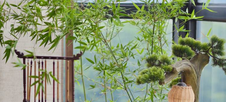 南海岁月民宿(广州高铁南站林岳西地铁站店)图片