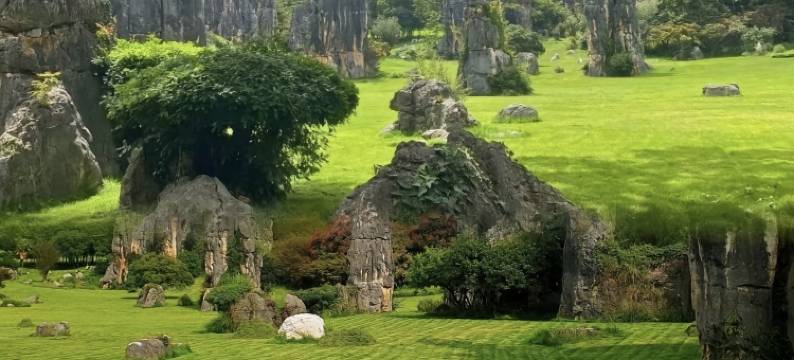 石林银瑞林国际大酒店图片
