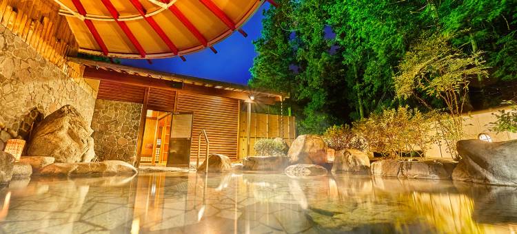 大江户温泉物语下吕别馆(Ooedo Onsen Monogatari Gero Bekkan (Old:Yukai Resort Gero Saichoraku Bekkan))图片