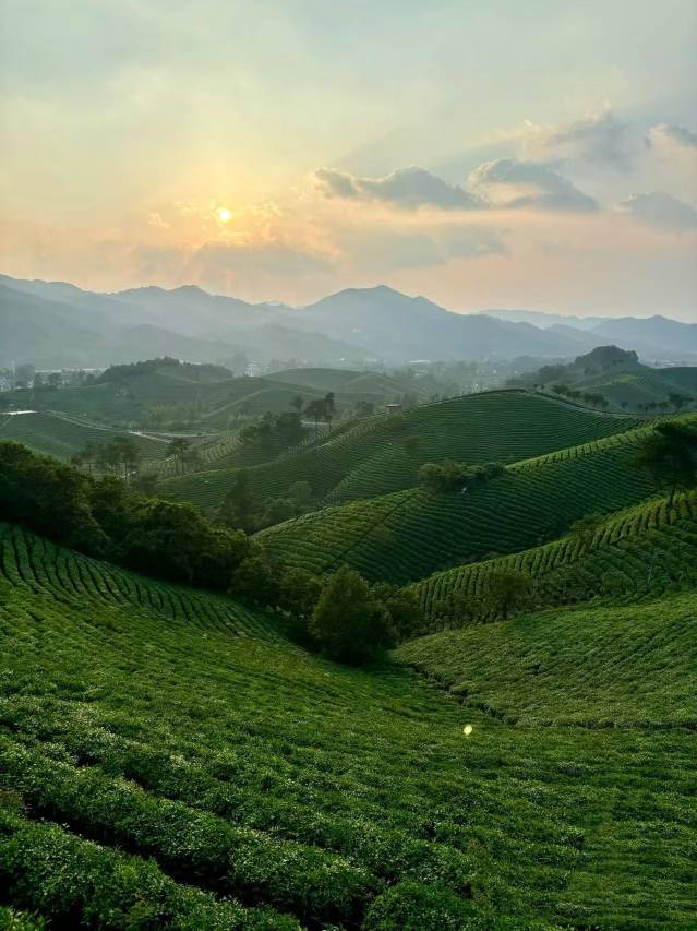 陇南高铁站希尔顿惠庭酒店图片