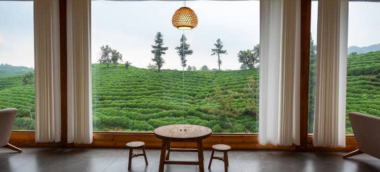 信阳茶花开咖啡民宿(文新茶村店)图片