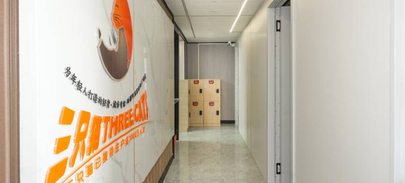 三只猫民宿(新疆阿克苏世纪广场店)图片