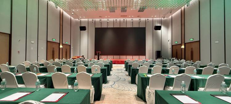 崇左雅阁大酒店图片