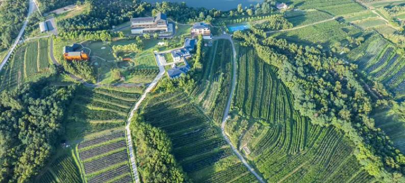 京玺庄园烟台蓝莓假日酒店图片