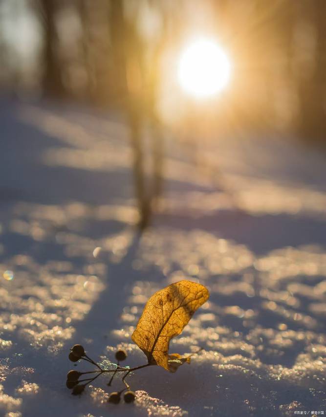 全季酒店(威海职业学院店)图片