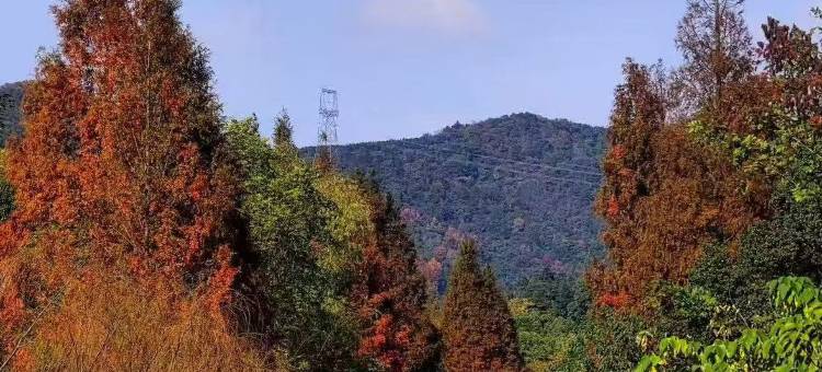 瑞庭名宿(宁波慈溪观海卫店)图片