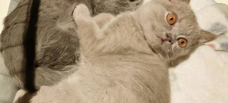 古城隐民宿(芜湖古城步行街店)图片