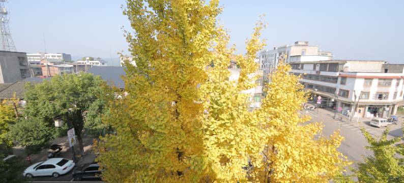 庄宿客栈(李庄古镇店)图片