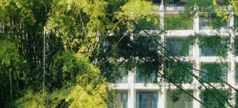 SYYF诗与远方·河畔院子酒店(阳朔十里画廊遇龙河店)图片