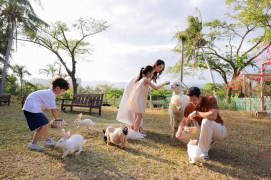 三亚海棠湾红树林度假酒店图片