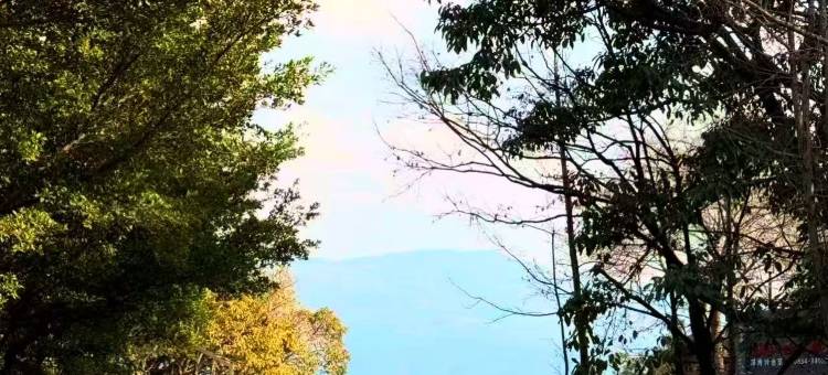 蕉下花园|森屿疗愈°怡然惬意|花园度假美宿(大石板古村店)图片