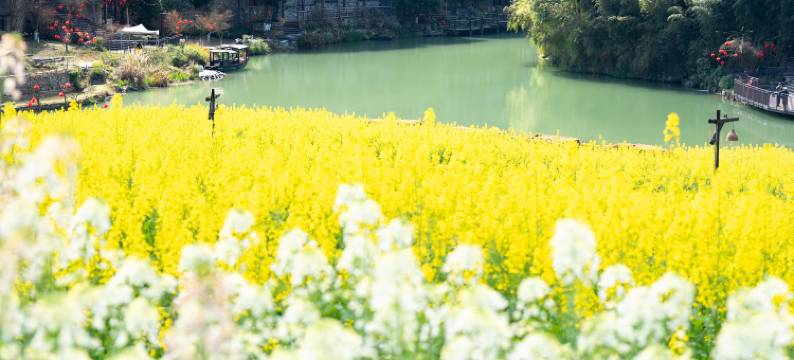 乌江寨侗黔白马酒店(遵义店)图片