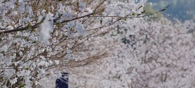 宁波沄野和光·栖霞坑民宿图片