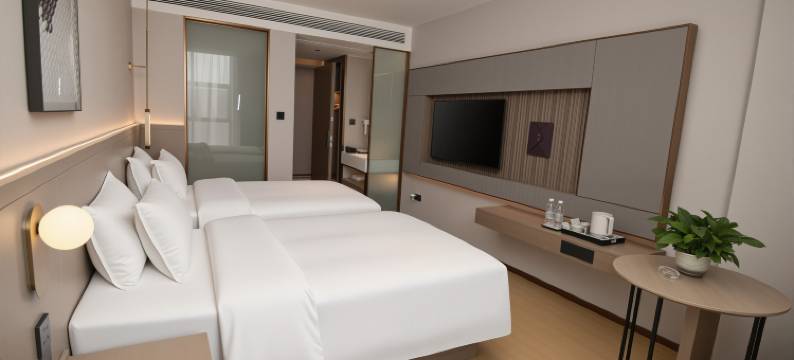 麗枫酒店(上饶弋阳政务中心店)图片