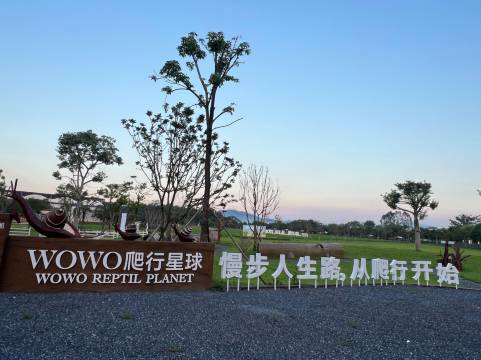 广州北纬23°8森林营地图片
