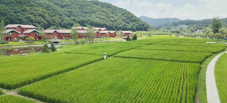 望春山硒悦温泉酒店图片