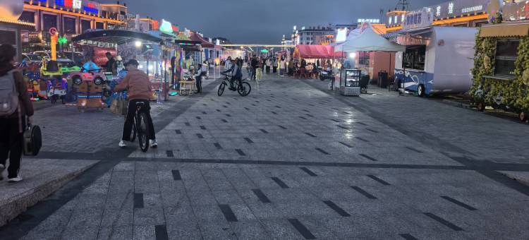 昭苏•梦里长歌酒店(天马国际旅游广场店)图片