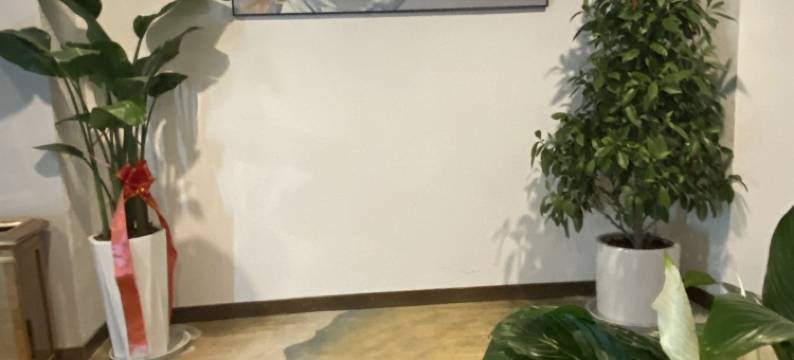 宝丽时尚精致酒店图片