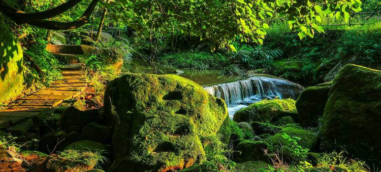 岷山·幸福岭民宿图片