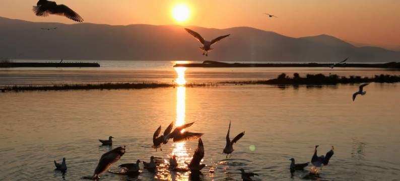 大理洱海网红S湾.问道磻溪园海景客栈图片