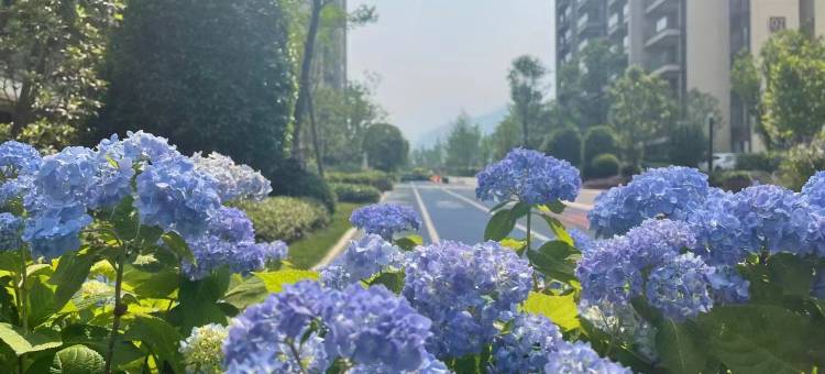 峨眉山悦山度假酒店(峨眉山高铁站店)图片