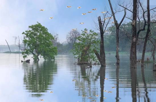 SYYF诗与远方·画廊院子(阳朔十里画廊遇龙河店)图片