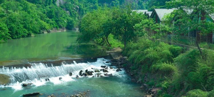 绍兴新昌安岚图片