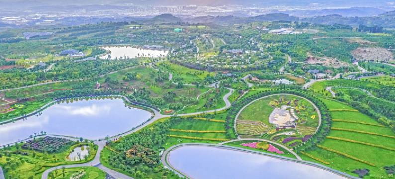 弥勒湖瑞酒店(湖泉生态园店)图片